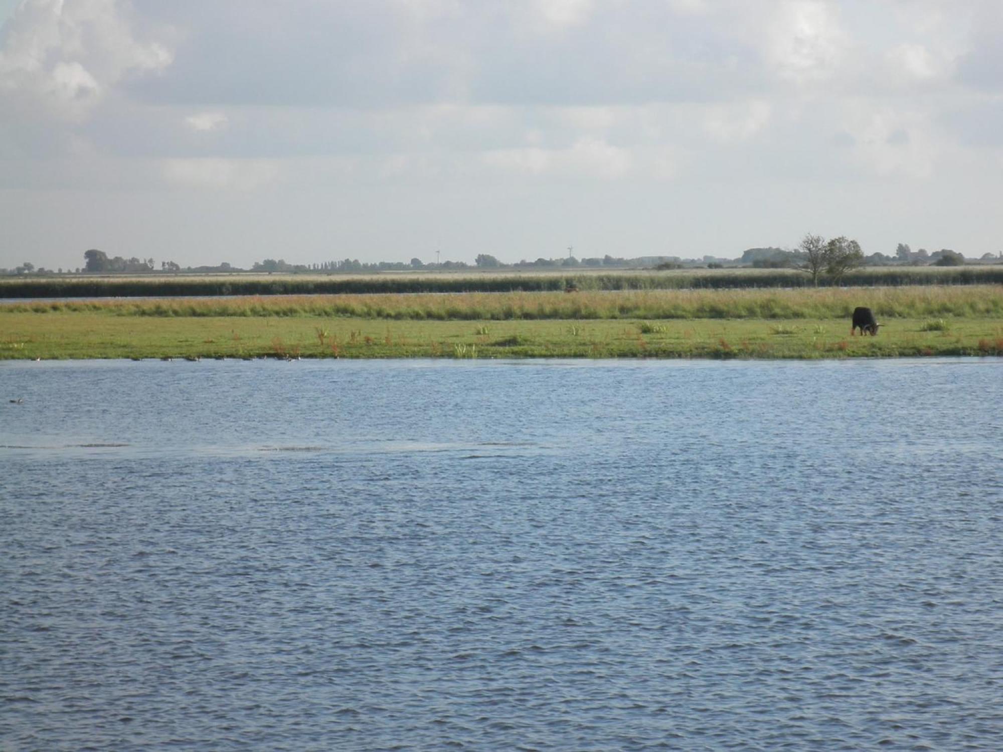 Leonie 6 Pers Holiday Home With A Large Garden Close To The Lauwersmeer Anjum Esterno foto